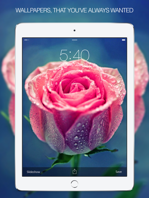 Screenshot #4 pour Rose Wallpapers & Backgrounds – Pictures of Roses