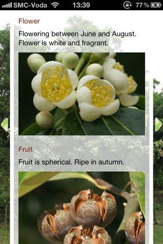 Country Parks Tree Walks screenshot 4