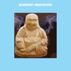 Buddhist Meditation+
