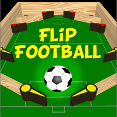 Activities of Flip Football Pro