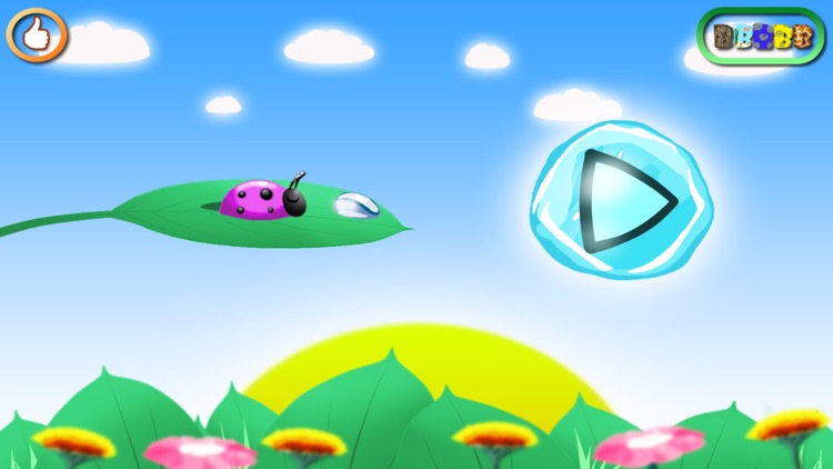 Little beetle run
