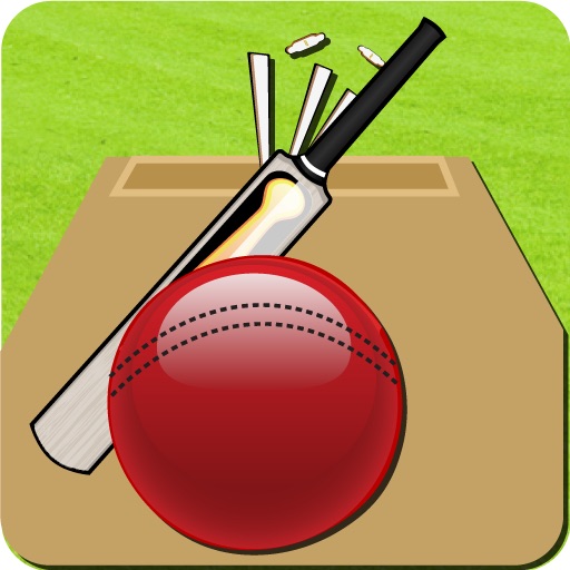 Cricket Record 2011 iOS App