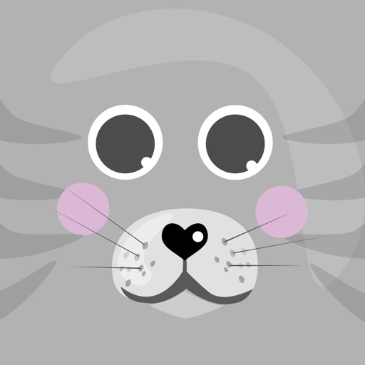 Cat Stickers for iMessage iOS App