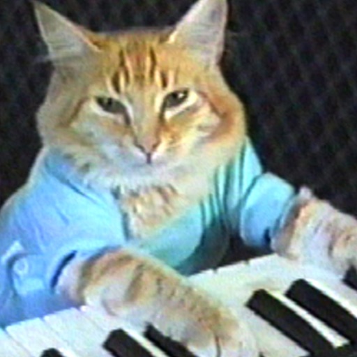 Keyboard Cat Stickers!