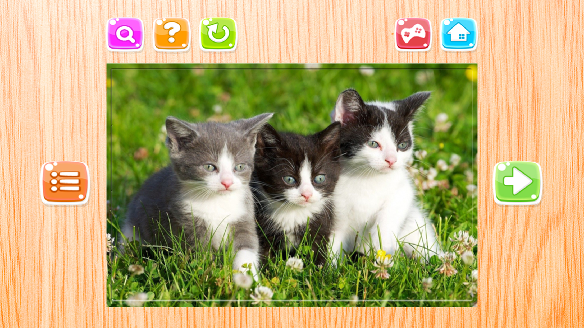 Cat Puzzle Game Animal Jigsaw Puzzles For Adults