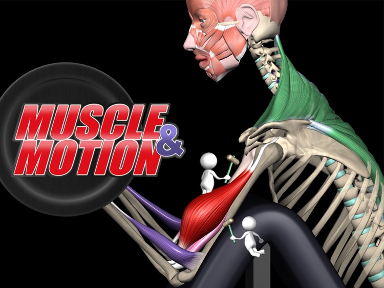 Muscle and Motion Strength Training