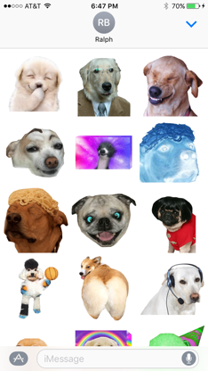 dogdings ~ animated dog stickers for dogs screenshot 2