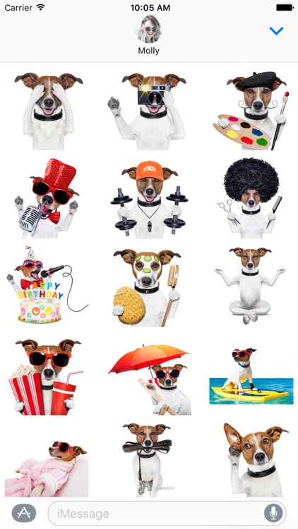Jack the Terrier - Dog Stickers for iMessage