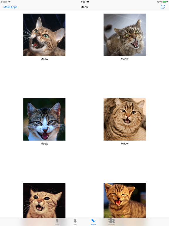 Cats sounds: real and fun sounds for cat lovers iPad screenshot