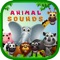 Animal Sounds - Toddler Animal Sounds and Pictures