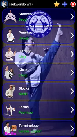 Game screenshot Taekwondo WTF mod apk