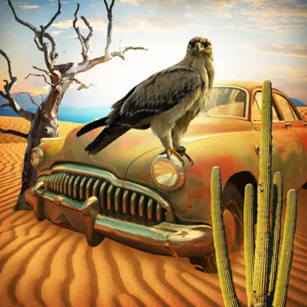 Escape Game: Lost in Desert Cheats