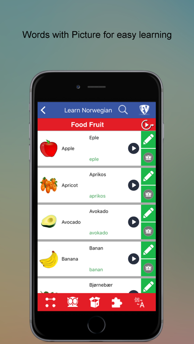 Screenshot #2 pour Learn Norwegian Guide