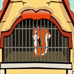 Cute Squirrel Rescue