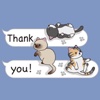 Cutie Cats Stickers
