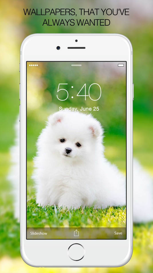 Puppy Wallpapers – Cute Puppy Pictures & Images - 9.5 - (iOS)