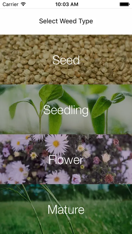 Weed Identifier