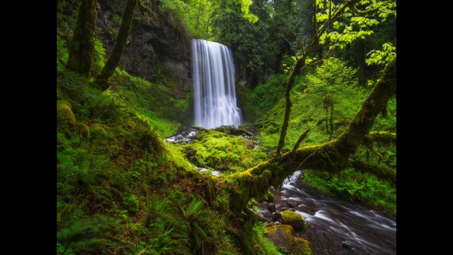Tranquility-Natural Relaxation