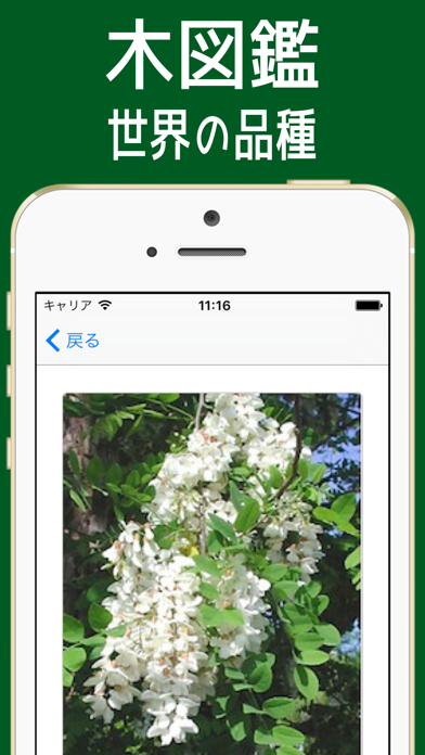 き図鑑 世界の品種 =木237種類=のおすすめ画像1