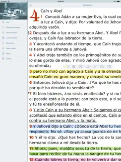 La Biblia Hablada Offline en Español. Reina Valera iPad image 3