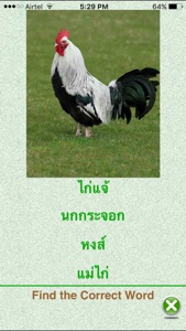 FlashCards Thai Lesson screenshot #3 for iPhone