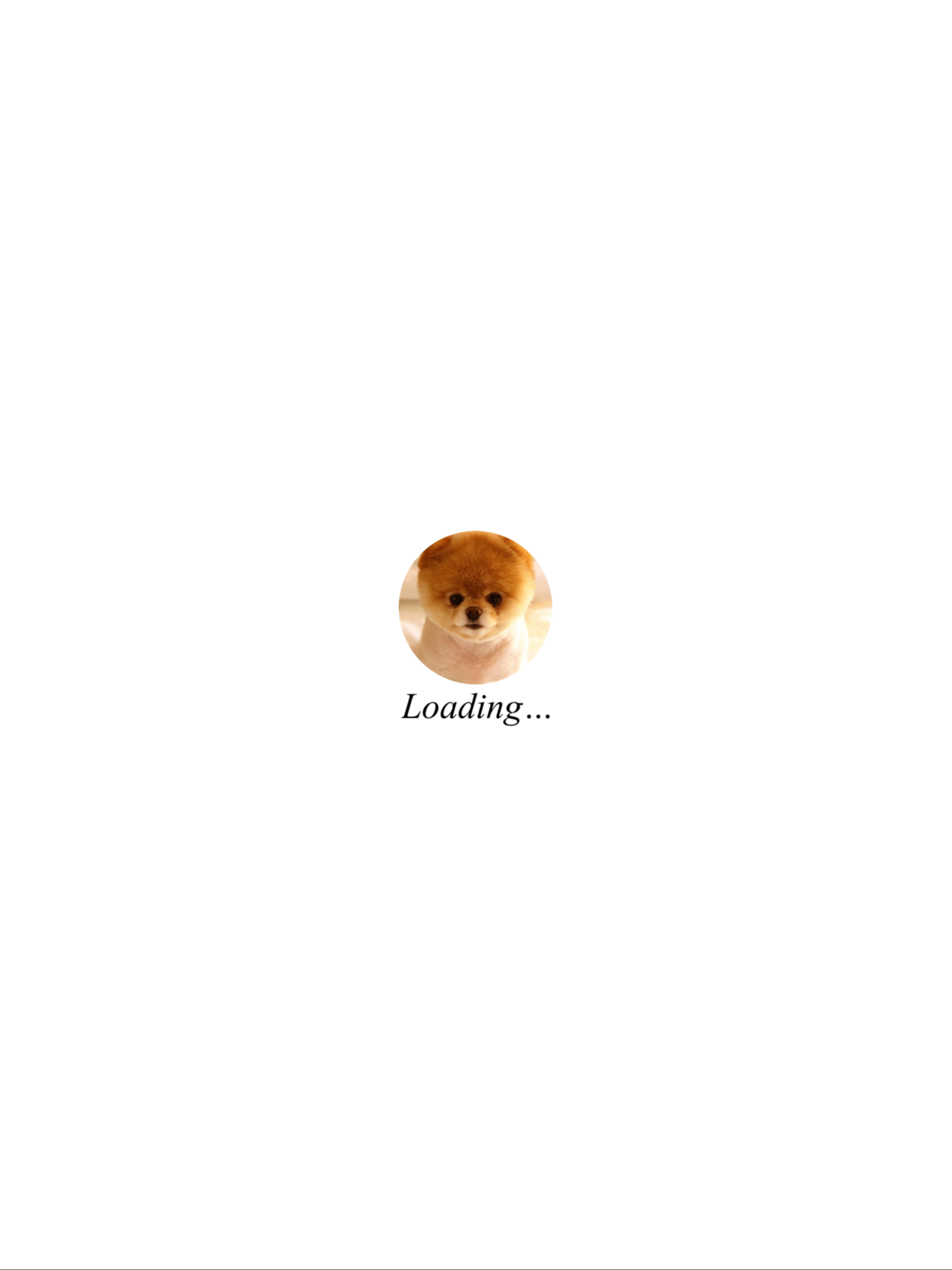 Cute Puppies Images screenshot 6