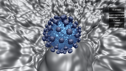 Hepatitis C - VR app screenshot