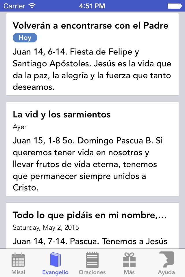 Liturgia de Chile, Argentina, Uruguay y Paraguay screenshot 4