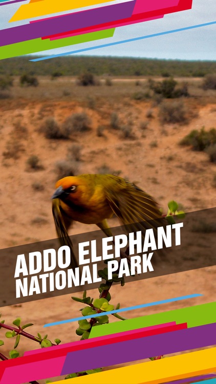 Addo Elephant National Park Tourism Guide