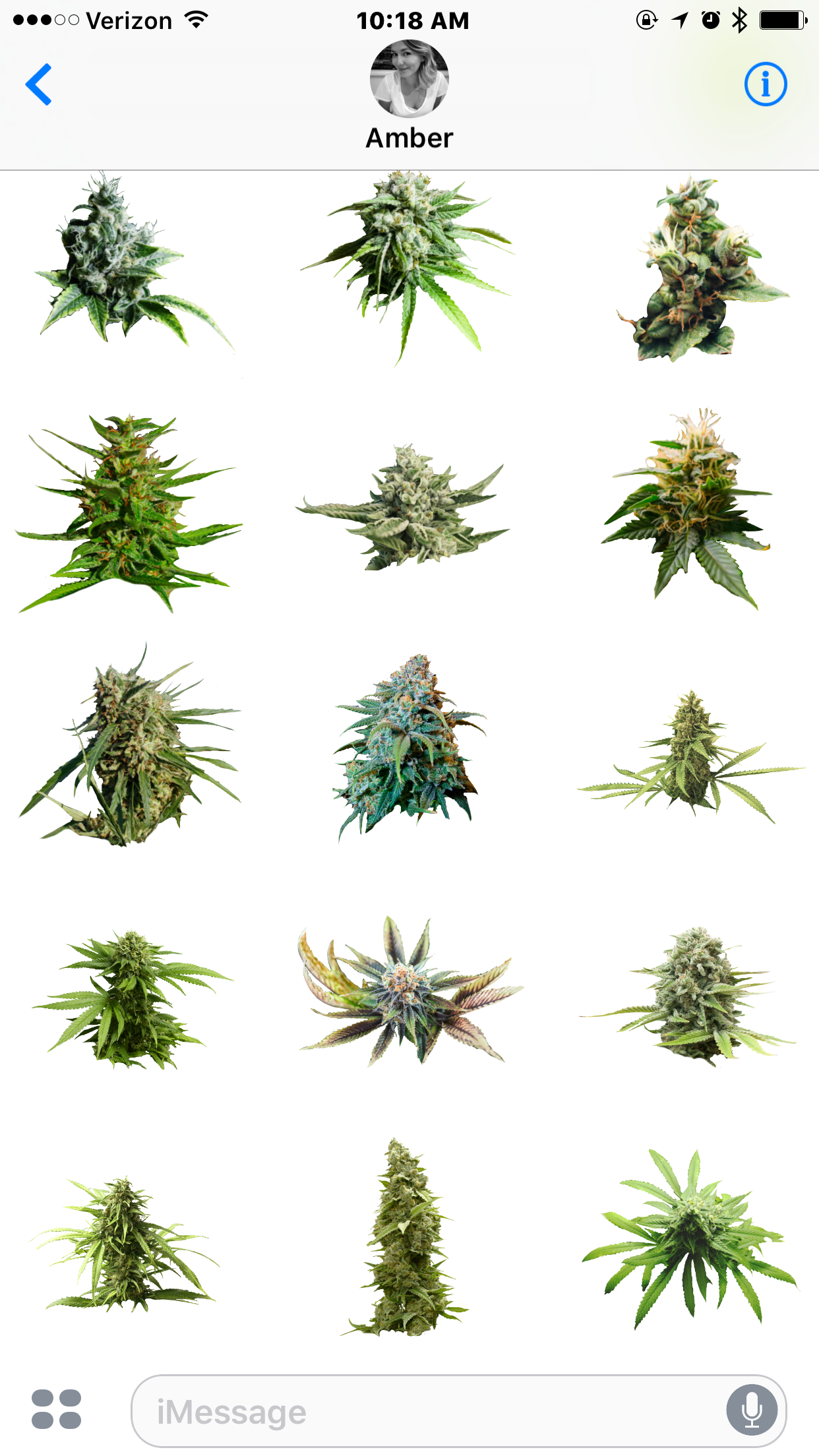 Marijuana Cannabis screenshot 4