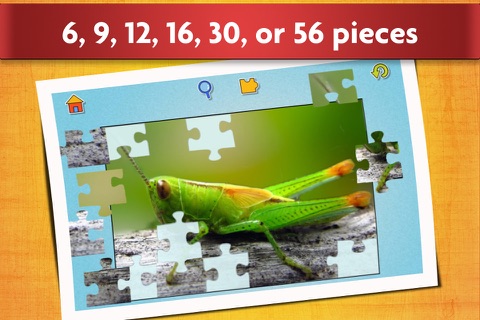 Insect puzzles - Relaxing photo picture jigsaw puzzles for kids and adults screenshot 2