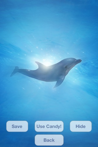 Lovely Dolphins Slideshow & Wallpapers screenshot 4