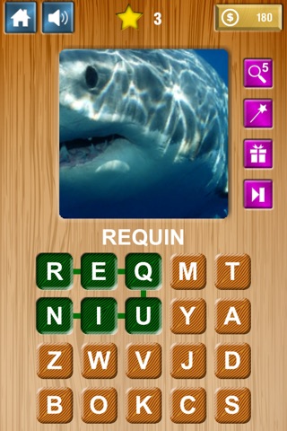 Zoom & Hidden Word - Animals Edition screenshot 3