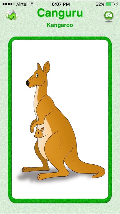 Flashcards Portuguese Lesson