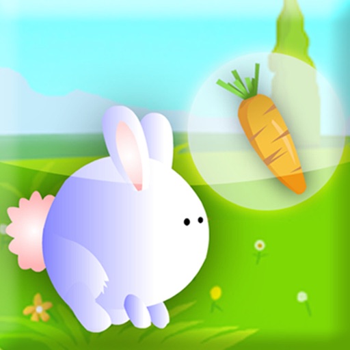 Pet Rabbit Dash - Crazy Bunny Jump To Eat Carrot iOS App