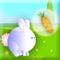Pet Rabbit Dash - Crazy Bunny Jump To Eat Carrot