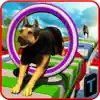Stunt Dog Simulator 3D problems & troubleshooting and solutions