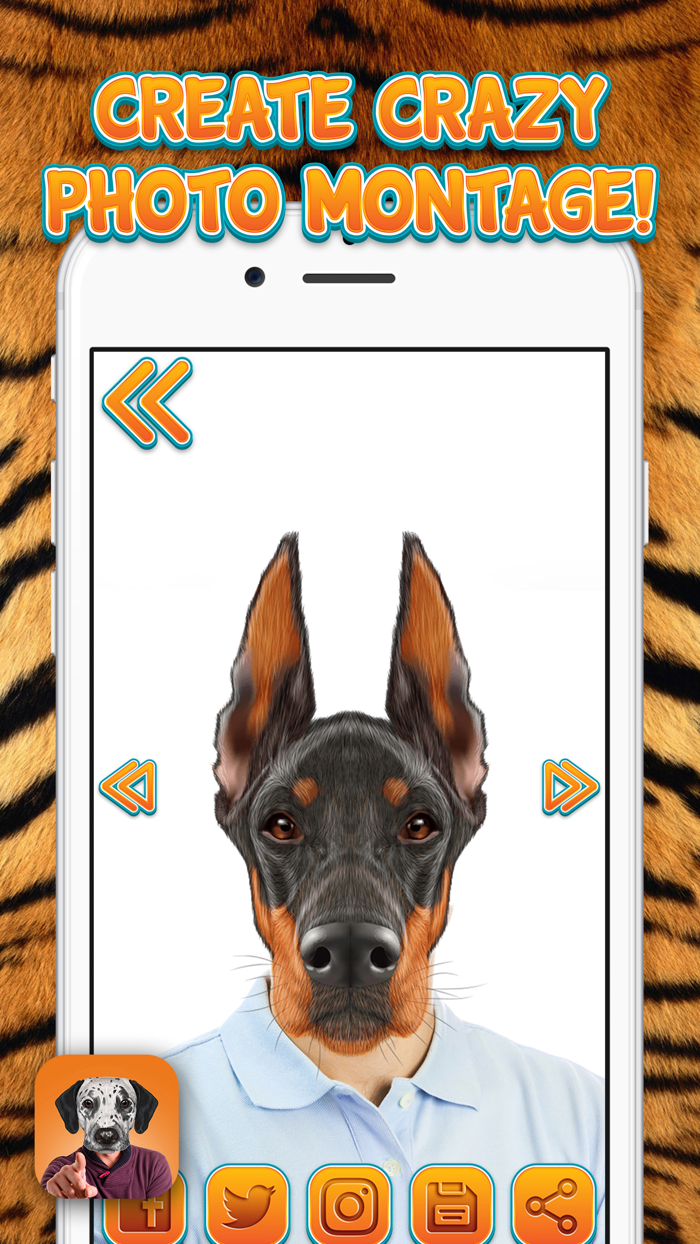 Animal Face Sticker Cam