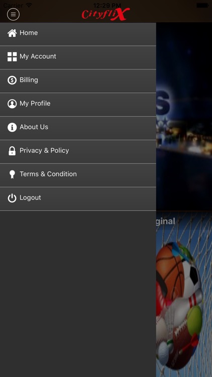 CITYFLIX screenshot-3
