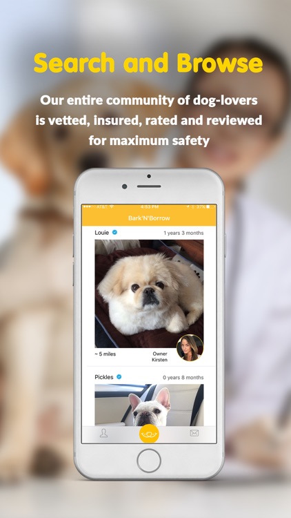 Bark N Borrow – Dog Sitting, Walks & Home Boarding