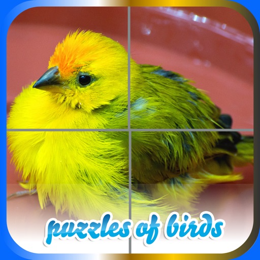 Puzzles of Birds Free iOS App