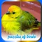 Puzzles of Birds Free