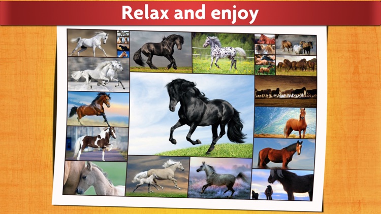 Horse Puzzles - Relaxing photo picture jigsaw puzzles for kids and adults screenshot-4