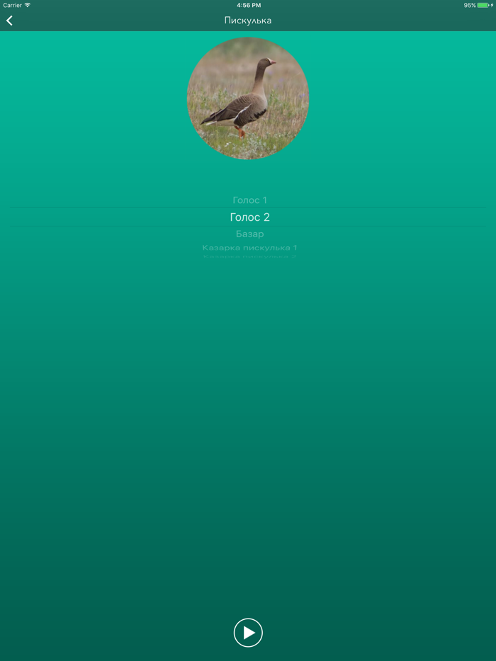 Охотничий манок на гуся