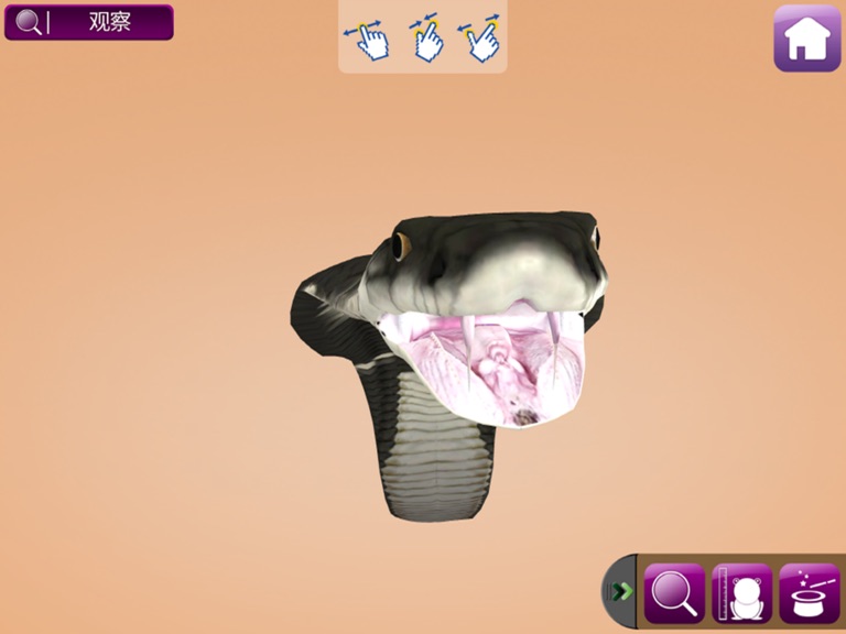 【图】MY HERPTILE – Augmented Reality(截图3)