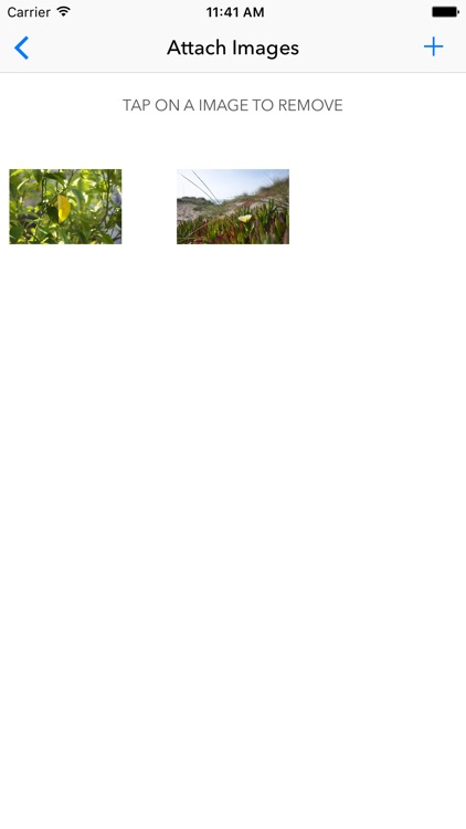 Schedule text email messages - SMS scheduler