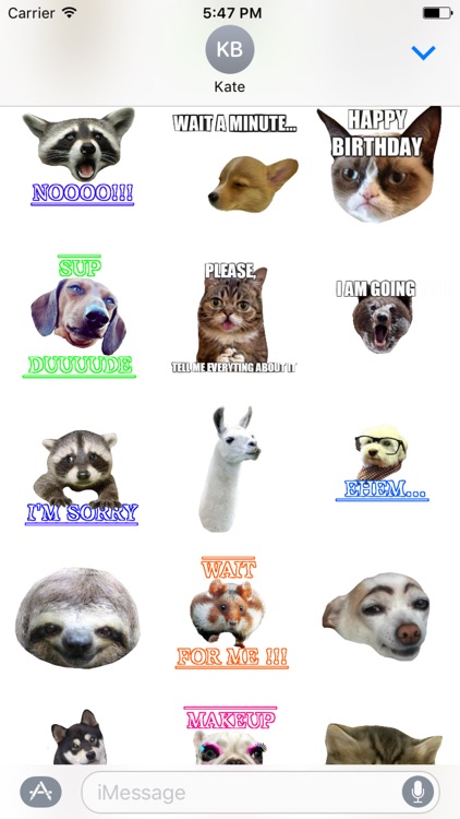 Animals Memes Stickers