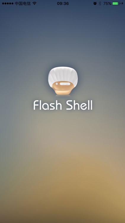 Flash Shell