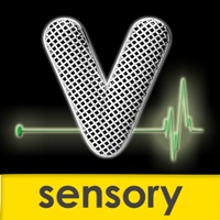 Sensory CineVox  logo