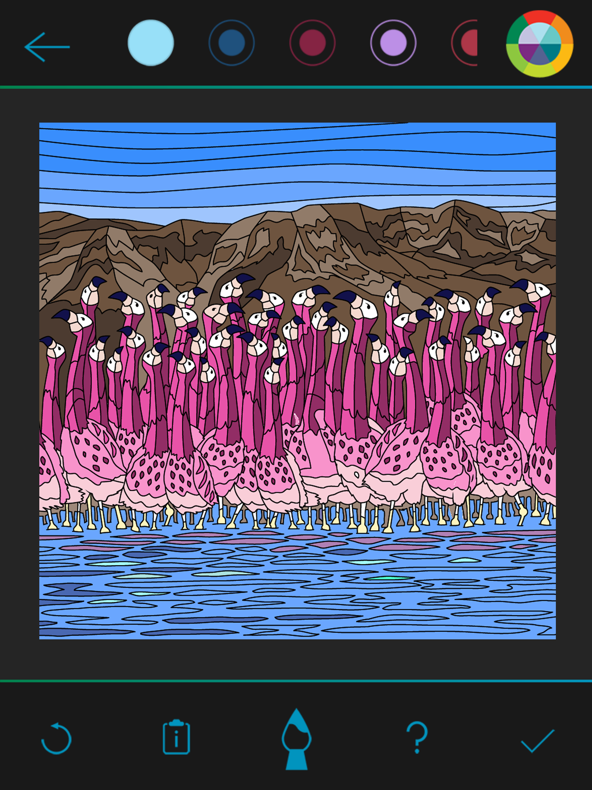 BBC Earth Colouring